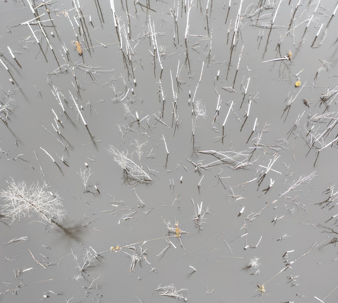 Ilma- ja videokuvaus